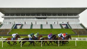 Live coverage of Limerick Races on TG4 this Sunday