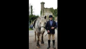 Ballymahon and surrounding areas shocked by death of  gifted horseman Fergal Trayers