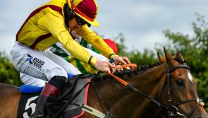 Rank outsider wins Irish Grand National at Fairyhouse