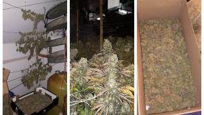 Man to appear in court today charged with €124,000 drugs seizure