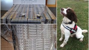 Over 125,000 smuggled cigarettes seized by Revenue officers in Cavan and Dublin