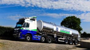 Lakeland Dairies reports revenue growth and uplift in profits 