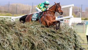 Kilbeggan Races to host new two day spring meeting 