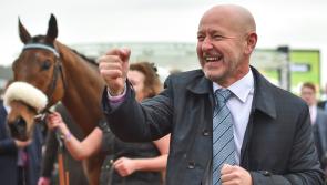 Longford owner Philip Reynolds saddened by death of double Cheltenham Festival winner Presenting Percy: 'He took us places we dreamt of'