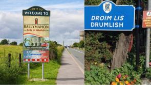 Delight at €6m for 'enormous' Ballymahon hub project but disappointment in Drumlish