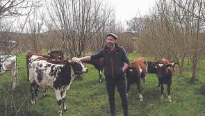 Ireland’s first Agroforestry Conference attracts more than 300 delegates