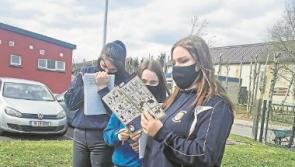 Ballymahon Vocational School students show entrepreneurial flair