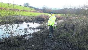 ‘Good progress’ being made on Three Provinces Greenway plan