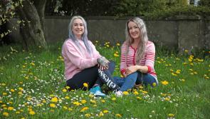 Longford duo raising awareness for wild bees