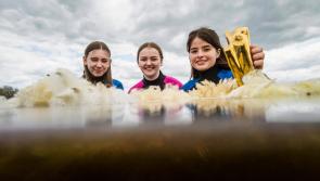 Longford students encouraged to enter BT Young Scientist & Technology Exhibition 2022