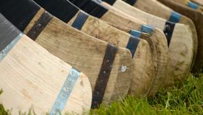 Non-playing Longford GAA panel members to attend inter-county fixtures