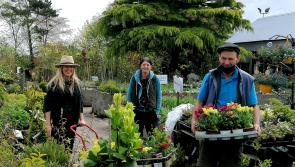 Granard leading the charge for National Biodiversty Week 2021