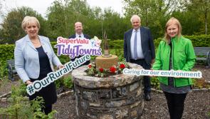 Tidy Towns groups across Longford delighted with return of national competition