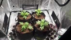 Man arrested following Roscommon drugs bust 