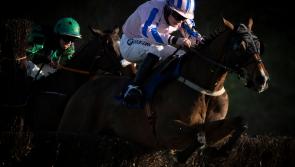 Longford trainer Paul Flynn enjoys success at Limerick with Railway Muice