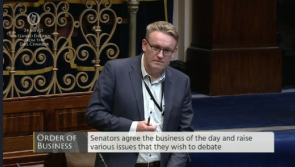 Longford Senator wants ESB to commit €500,000  towards developing community facility in Lanesboro