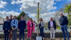 Longford's online Padraic Colum Gathering a success