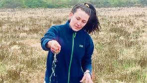 Make a switch for nature in Longford with ten ideas from Heritage Officers 