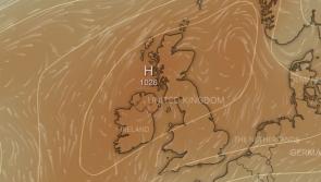 Could it be a sizzling summer in Longford?