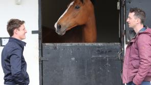 Faugheen joins the &lsquo;Living Legends&rsquo; Team at the Irish National Stud