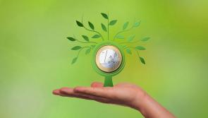 Funding scheme to help Longford businesses with fixed costs