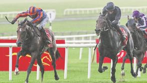 Racing: Ticket arrangements for Dubai Duty Free Irish Derby released