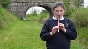 WATCH | Young Longford musician features in new TG4 creative series 