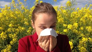 Hay Fever season is here! Use these top tips to survive the months ahead