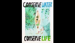 Terrific Tanna tops: Ballymahon student wins national Green-Schools poster competition
