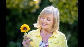 Still time to dedicate a virtual sunflower in memory of a loved one and support Longford Hospice Homecare