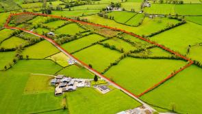 44 acre residential beef farm in Longford sells for &euro;455,000 following competitive online auction