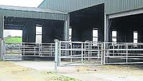Longford Leader Farming: Rising costs are biggest challenge facing farmers
