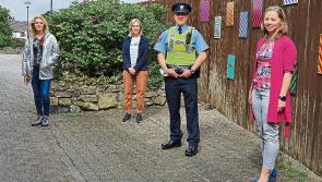 Anti-social behaviour crackdown in Longford walkways underway
