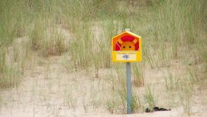 Nine drownings in seven days - stay safe appeal to water users in Longford and around the country