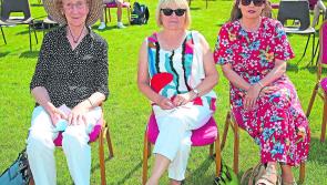 PICTURES |  Music, sun & fun in Ballinalee for Longford Live and Local 