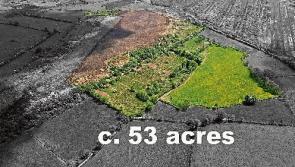 Kenagh farm sells for in excess of €175,000 at online auction