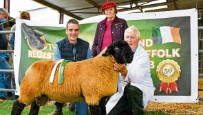 Longford Leader Farming: Pedigree Suffolk Sheep Breeders Club 50th anniversary show & sale