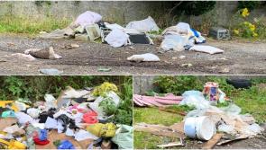 Volunteers required to help with clean-up effort outside Longford town on Sunday 