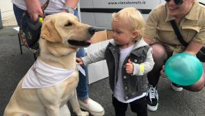 Malin to Mizen charity cycle kicks off this month in aid of Killashee charity Cian's Kennels