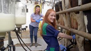 Just three female farmers in Longford take part in the Knowledge Transfer Scheme