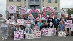 Longford anti-vaccine rally described as ‘unhelpful’