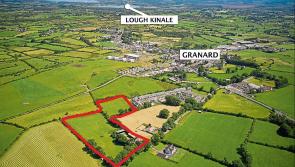 Granard farm to be sold online