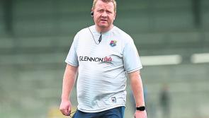 Longford senior hurling manager Derek Frehill stepping down 
