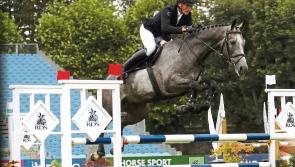 Longford equine star set for world breeders finals 