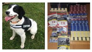 Garda drugs unit seize thousands of cigarettes at commercial premises in Longford town