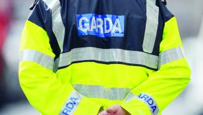 Gardaí seek witnesses and video footage as man hospitalised following serious assault 