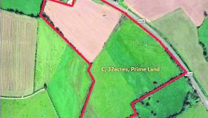Prime farm land in midlands up for auction with guide price of &euro;9,375 per acre