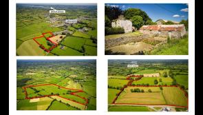 Longford farm fetches over €1 million in online auction 