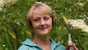 National Women’s Enterprise Day open for Longford entrepreneurs  