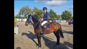 Top performance from Granard showjumper Joe Cadam